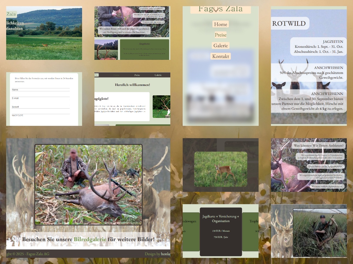 www.loxysoft.hu/fagus